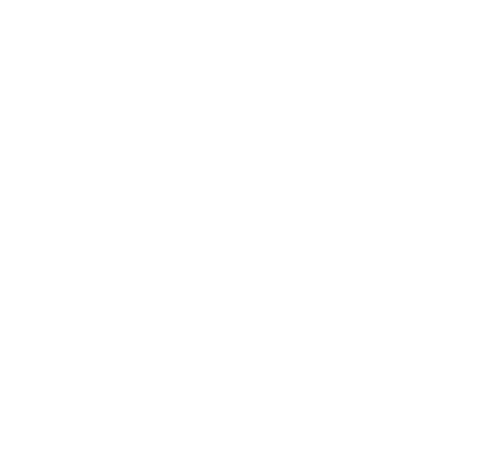 TAM VOSS